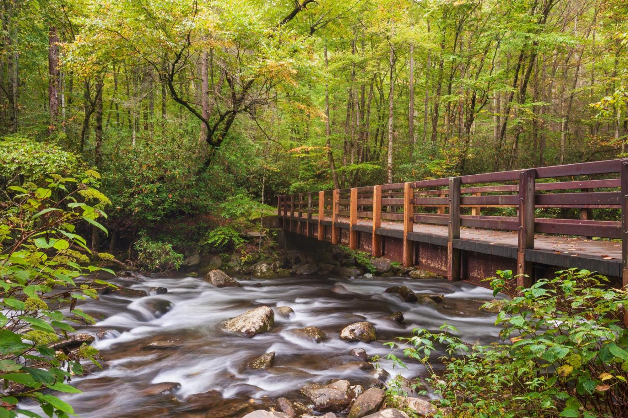 Whispering Winds, Hot Tub, Game Room, Wifi, 1089 Free Tickets Each Paid Day, Dollywood And More Gatlinburg Exterior photo